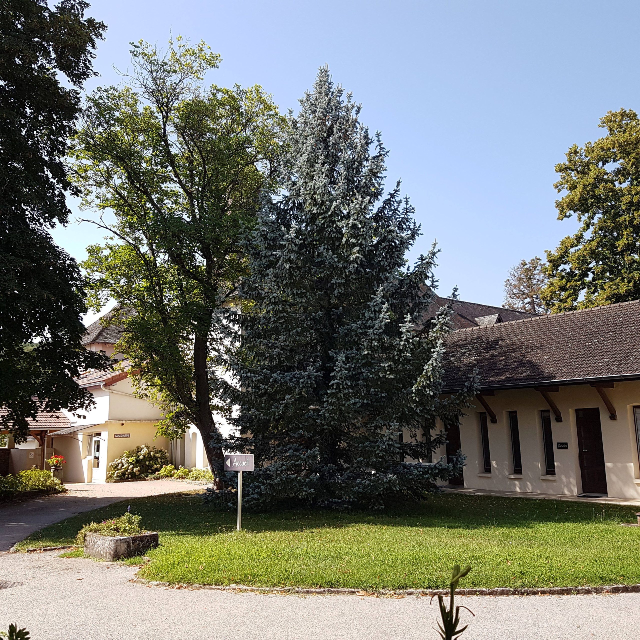 Les bénédictines de Venière